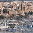 Palma