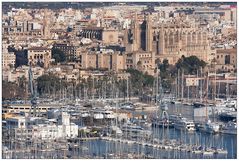 Palma