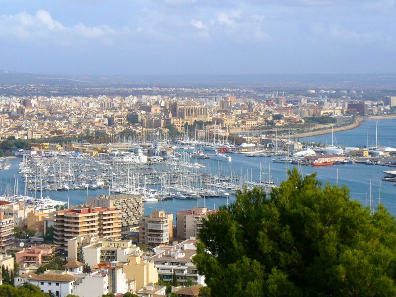 Palma