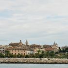 Palma