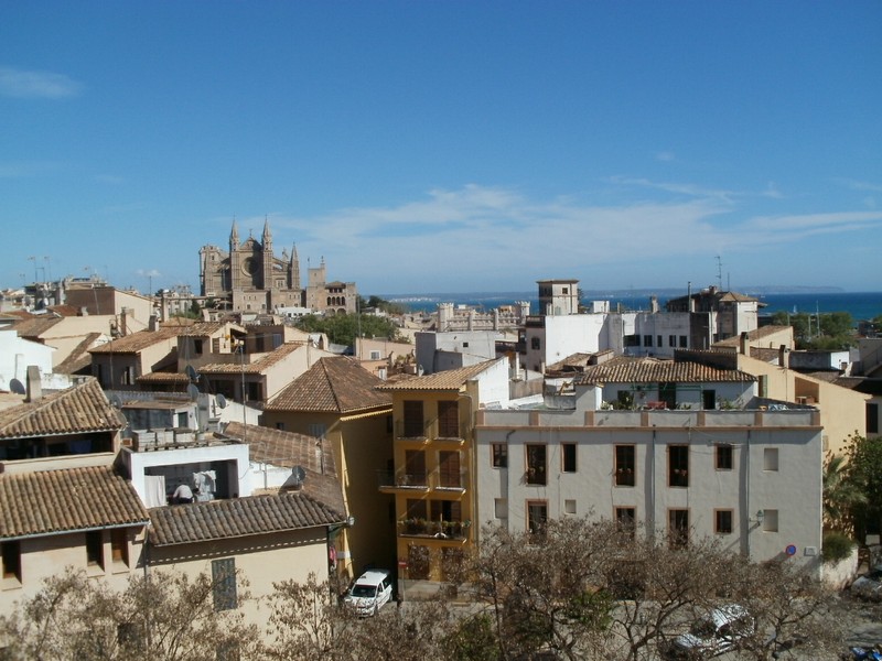 Palma