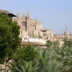 Palma