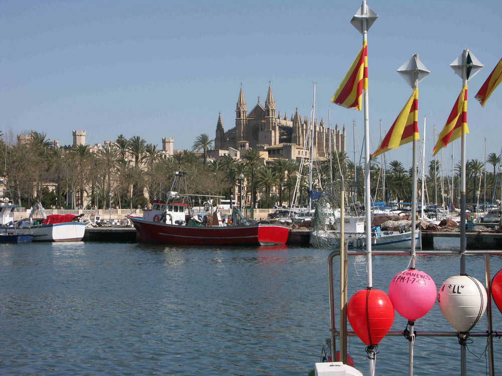 Palma-Ansicht mit Kathedrale vom Hafen aus betrachtet