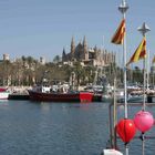 Palma-Ansicht mit Kathedrale vom Hafen aus betrachtet