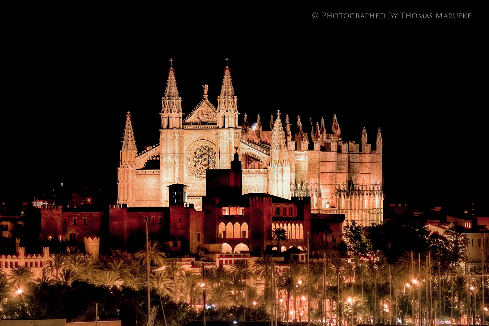 Palma At Night II