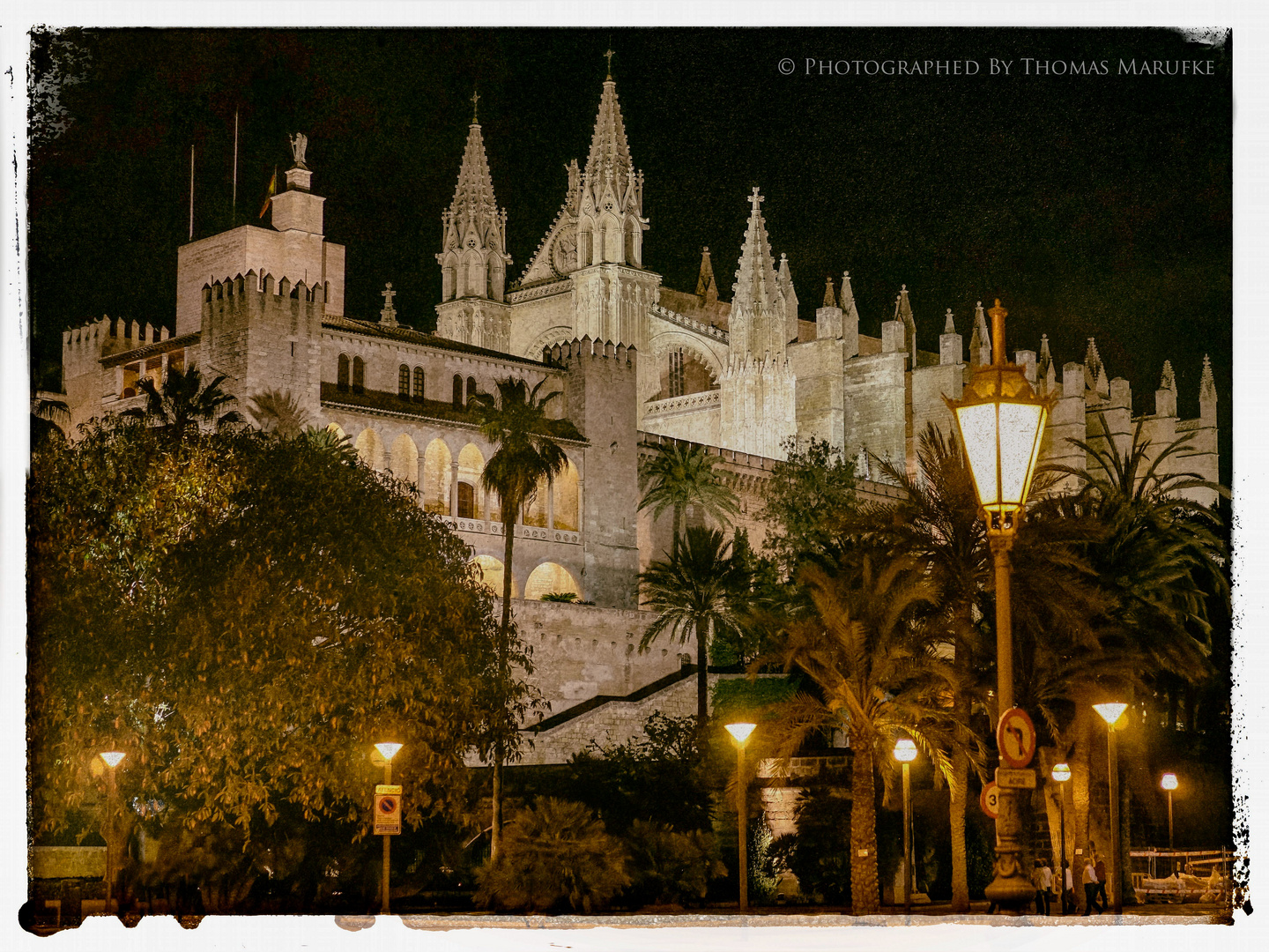 Palma At Night III