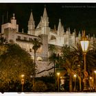 Palma At Night III