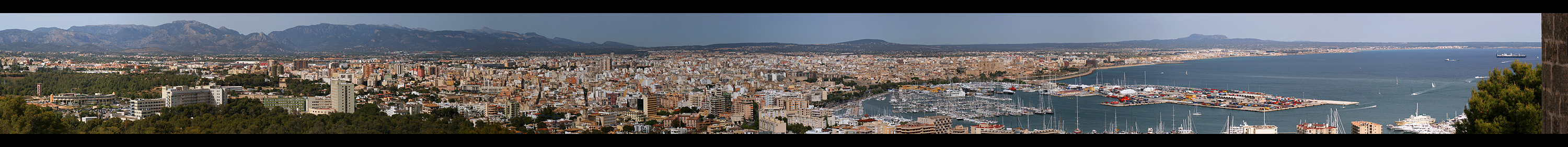 Palma