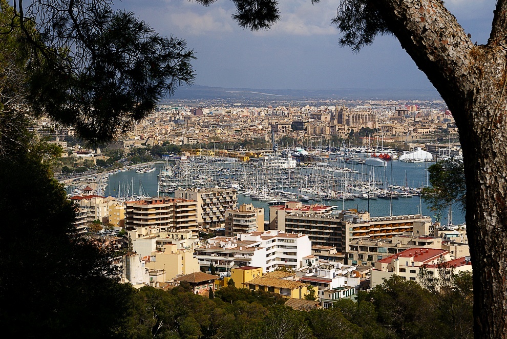 Palma *best view*