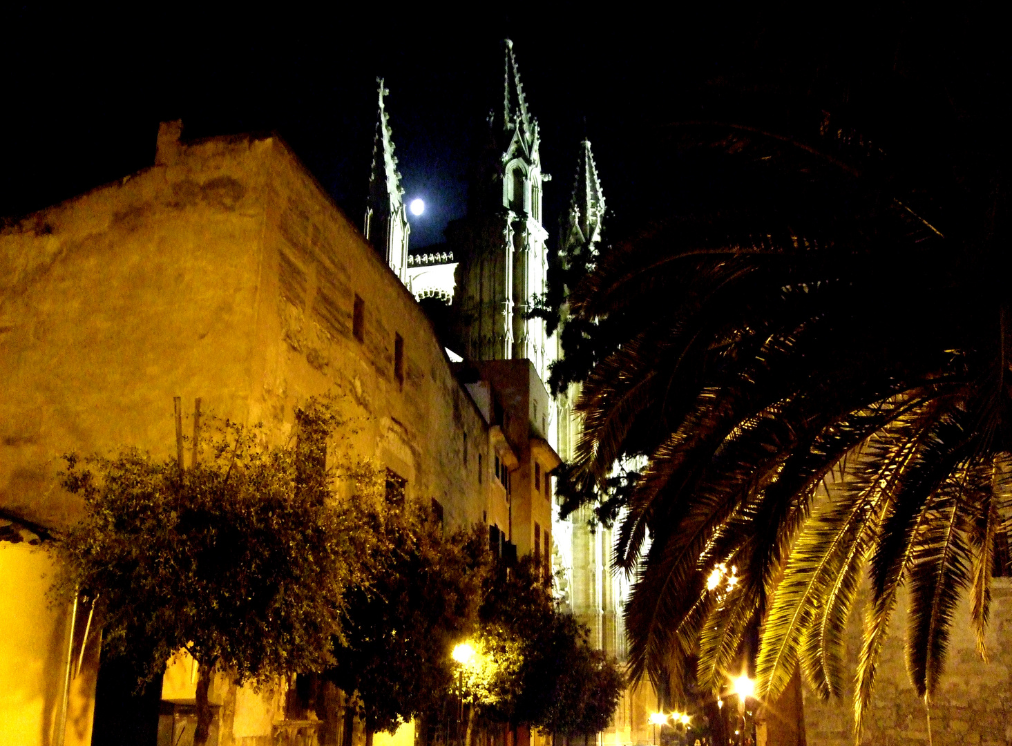 Palma by night