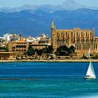 Palma