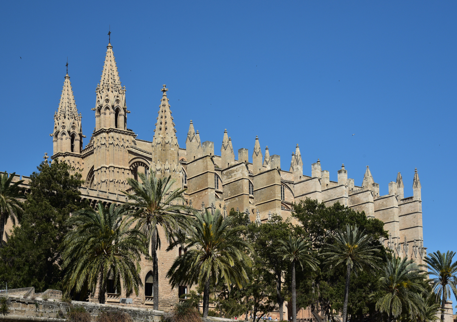 Palma Cathedral