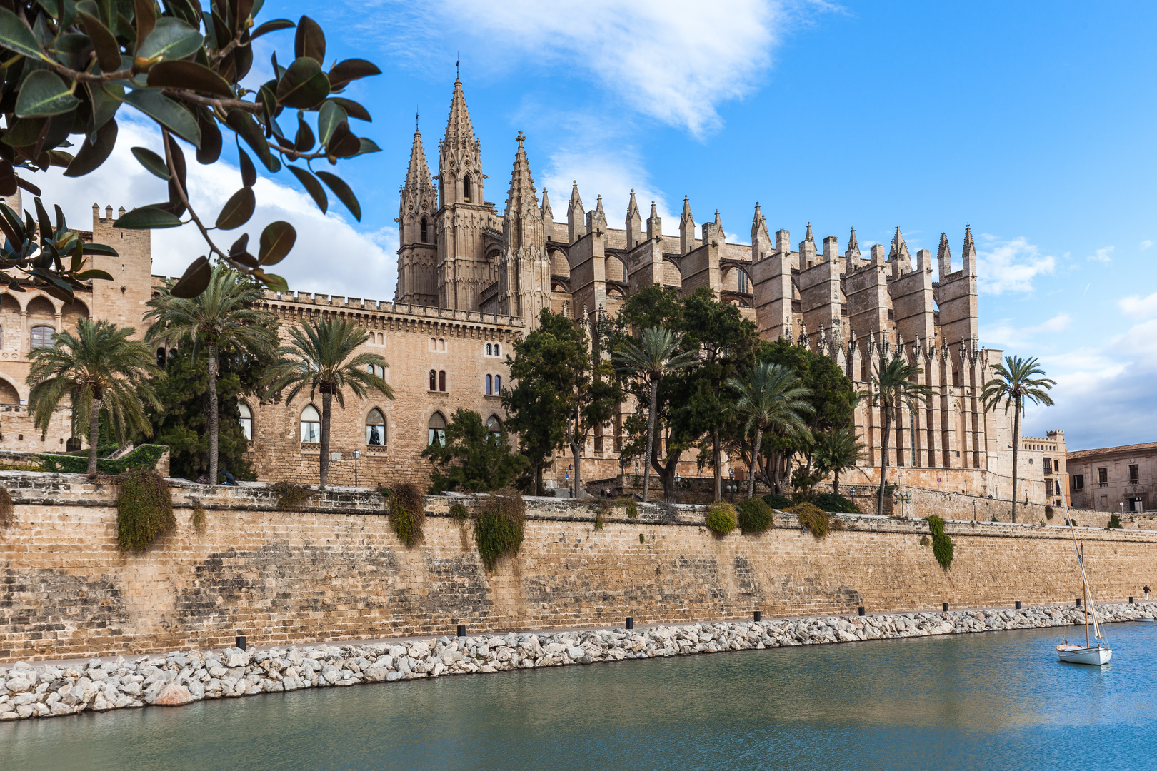 palma