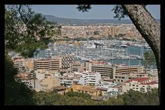 Palma