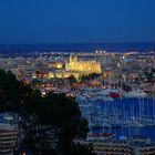 Palma de la noche