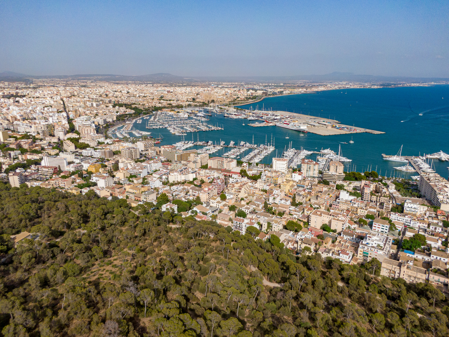 Palma de Mallorca 