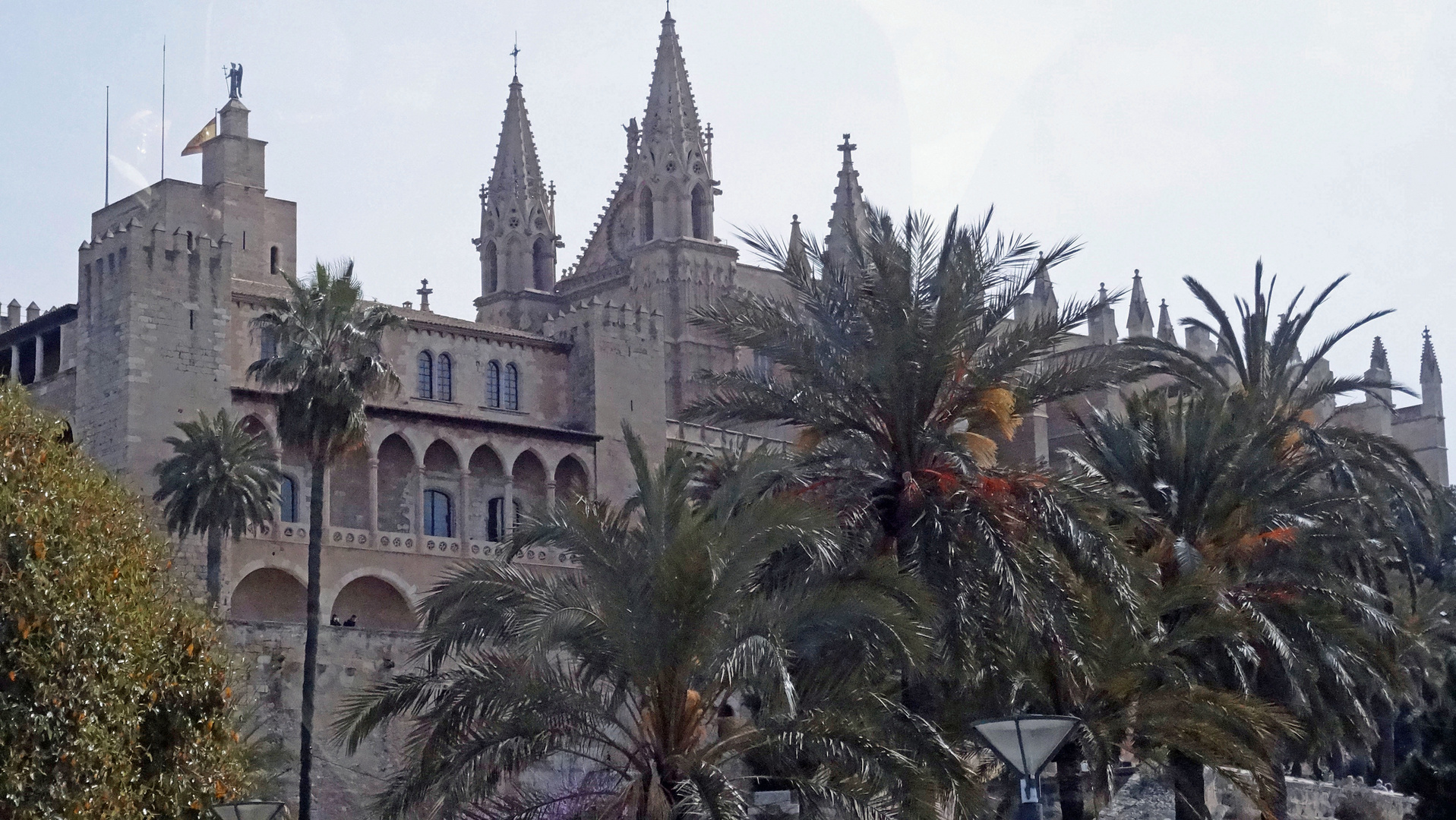 Palma de Mallorca, Kathedrale