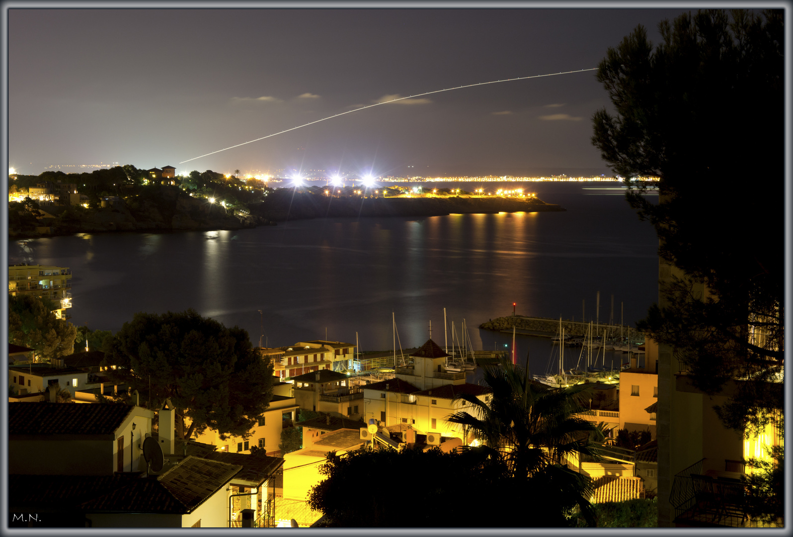 Palma de noche