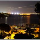 Palma de noche