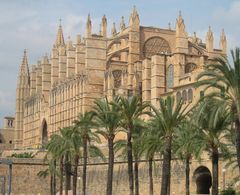 Palma