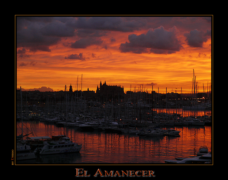 Palma El Amanecer