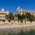 Palma