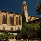 Palma-Francesco-2