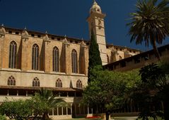 Palma-Francesco-2