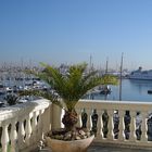 Palma - Hafen 3