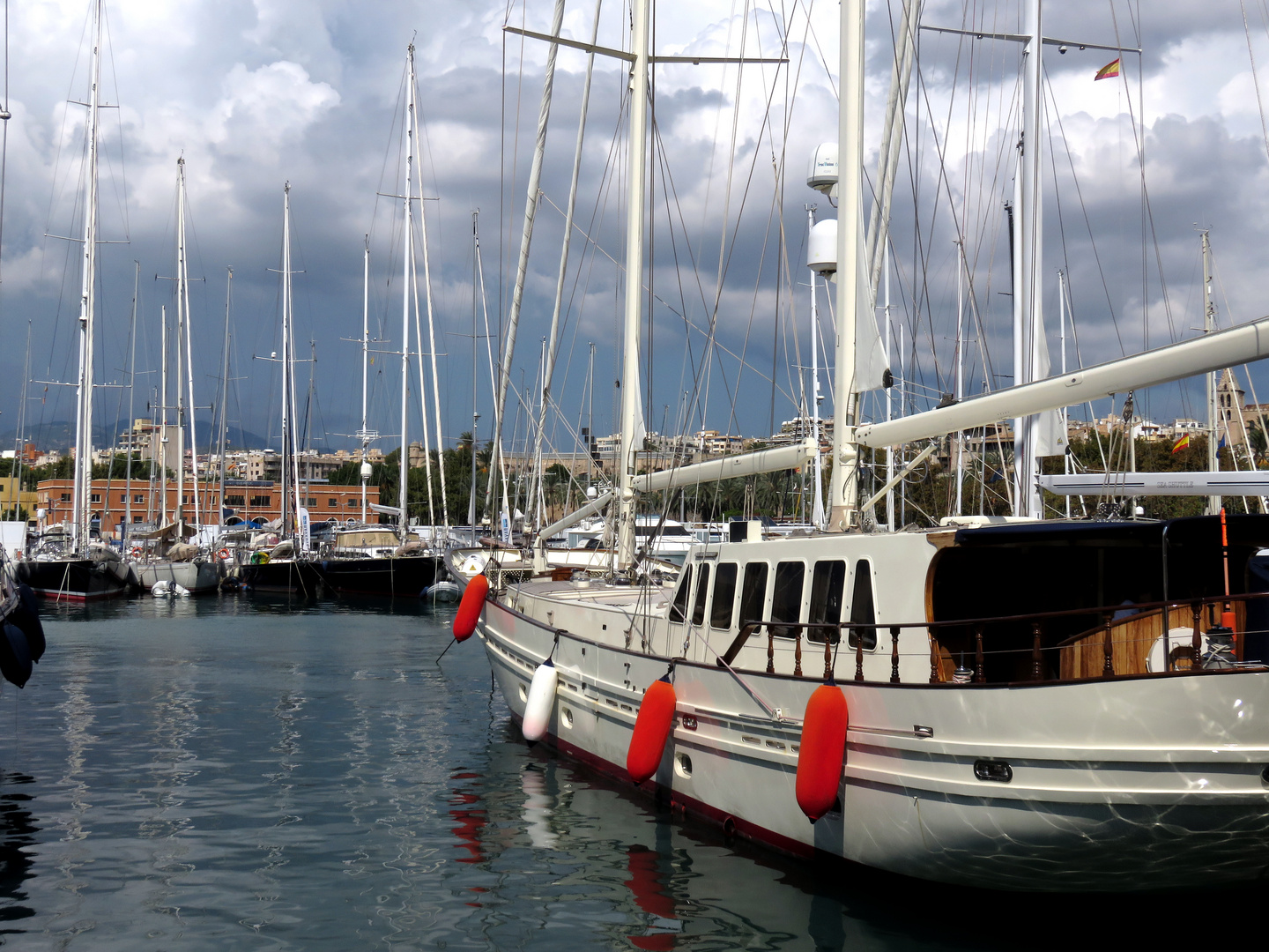 Palma Hafen