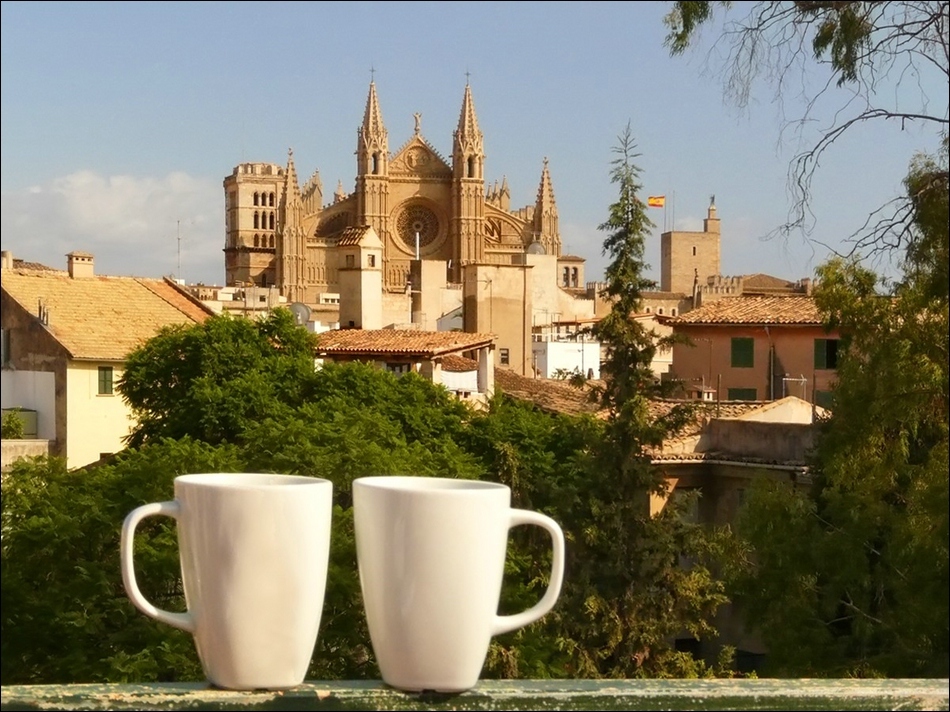 palma ~ kaffee