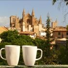 palma ~ kaffee