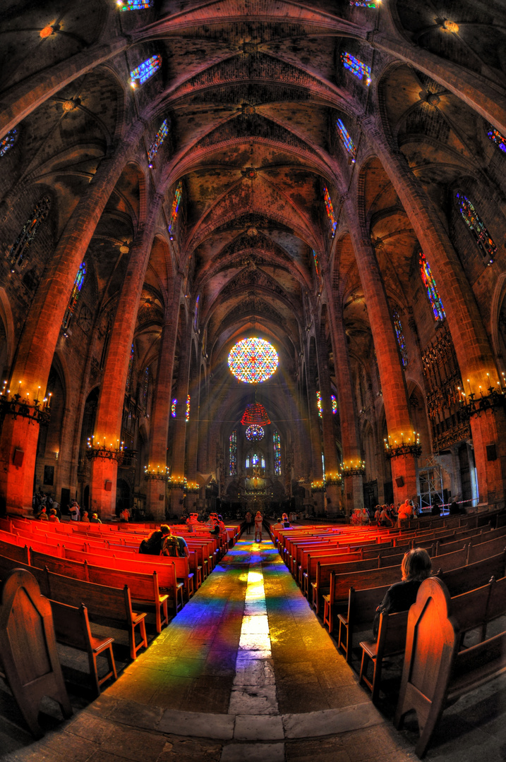 Palma Kathedrale ..