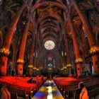Palma Kathedrale ..