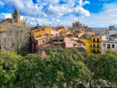 Palma, La Seu aus der Ferne