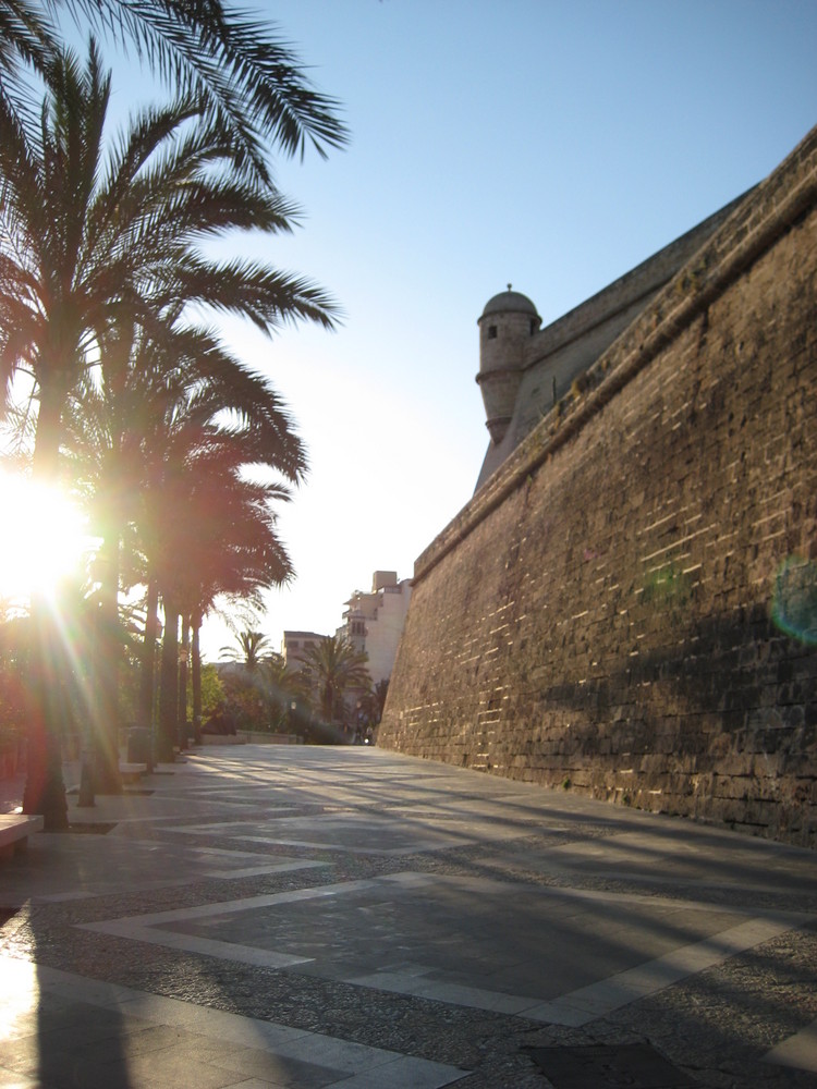 Palma (Mallorca)