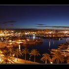 Palma @ Night