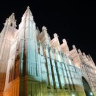 Palma Night II