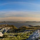 Palma pano