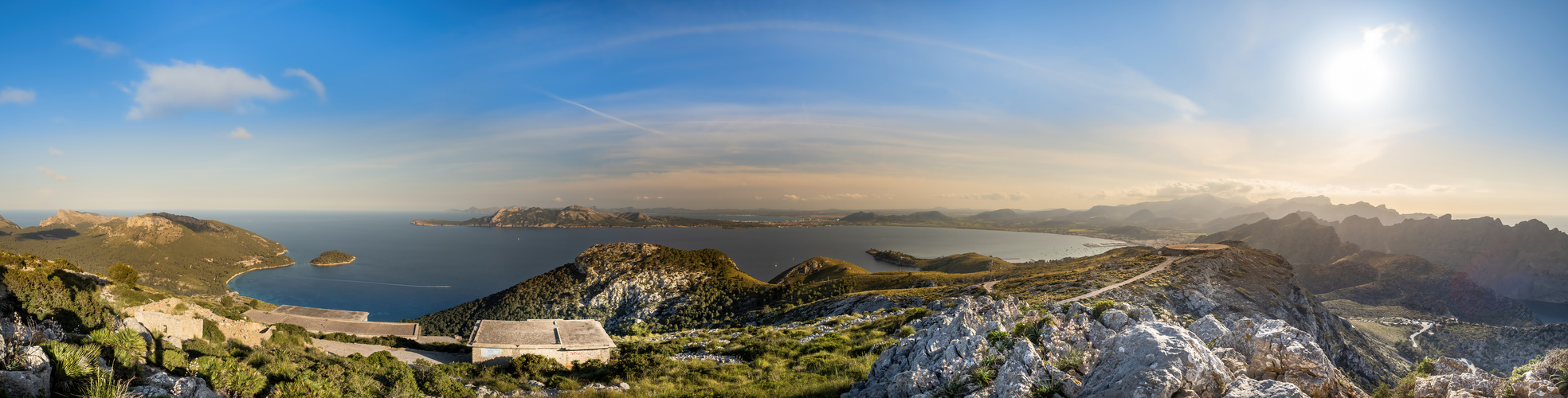 Palma pano