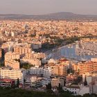 Palma Panorama