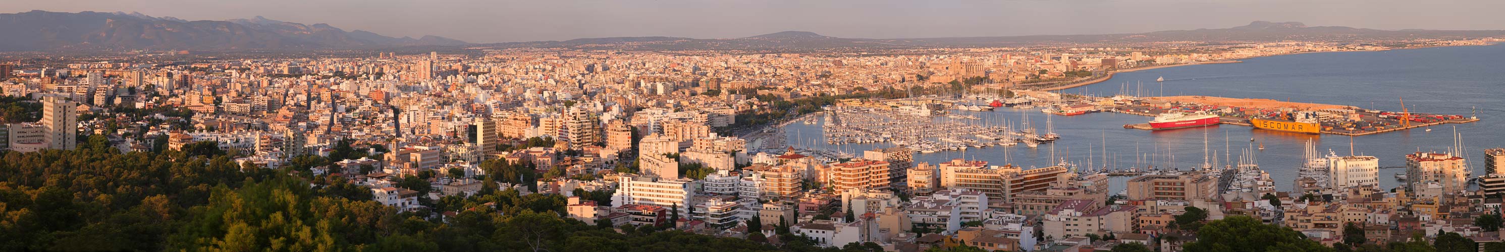 Palma Panorama