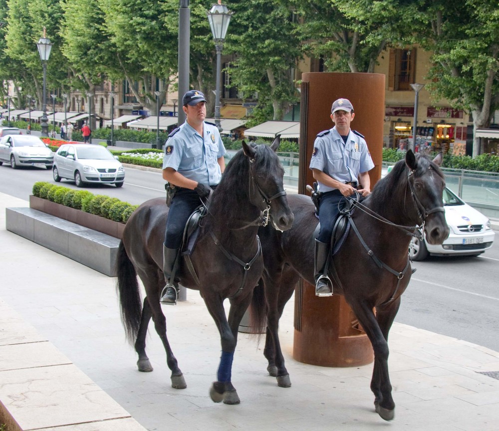 Palma Policia 2008