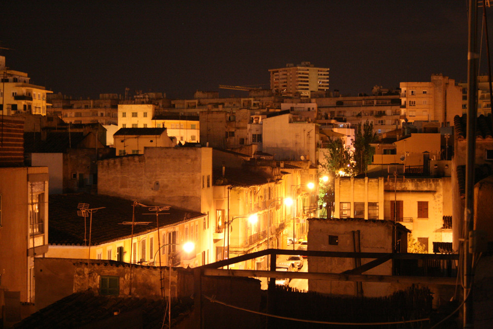 Palma por la noche