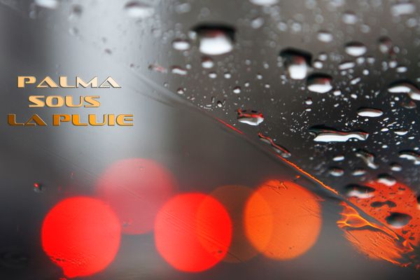 PALMA SOUS LA PLUIE
