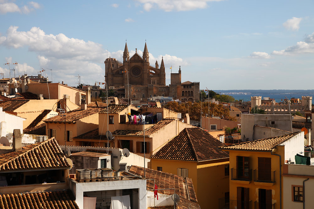 Palma, über den Dächern der Stadt