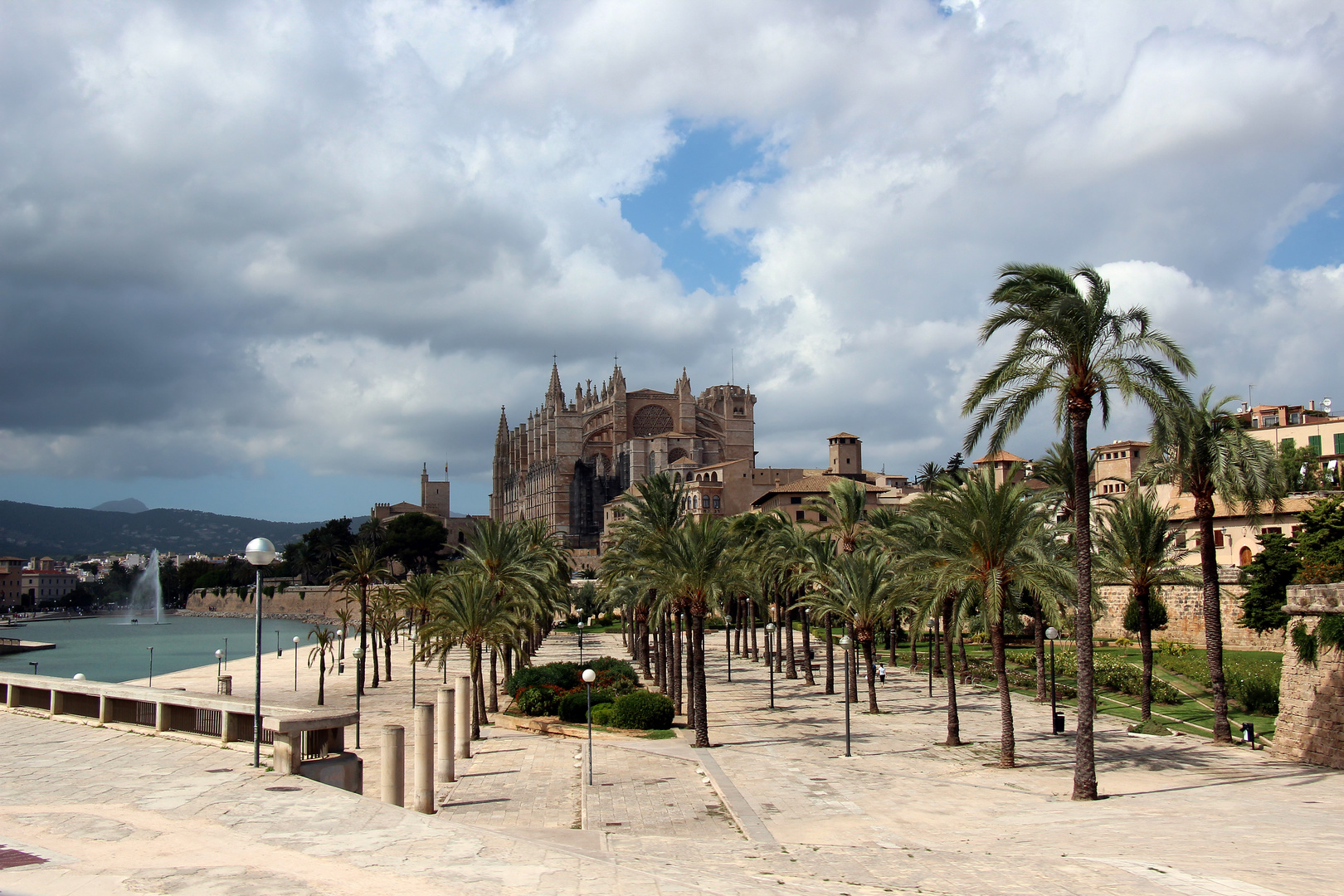 Palma_1