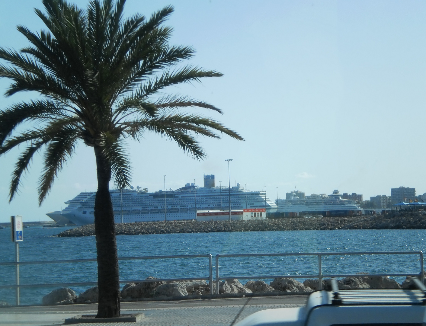 Palma´s Hafen