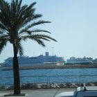 Palma´s Hafen