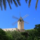 Palmas Windmühlen